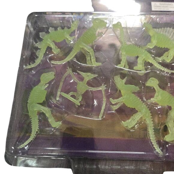 Glow in the Dark Dinosaur Fossils, Set of 8, Glowing Dinosaur Toys - Picture 3 of 3